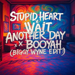 Stupid Heart x Wait Another Day x Booyah (Biggy Wyne Edit)