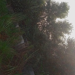 Main jindgi ka saath nibhata chala gaya