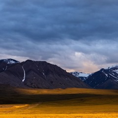 Frutiger Maestro EXTENDED MIX