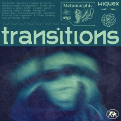 Transitions