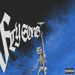 Fly Song