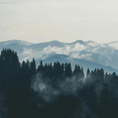 Misty Horizon