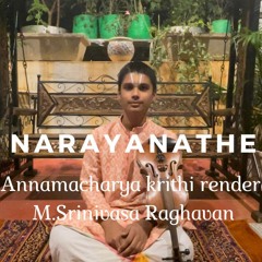 Narayanathe Namo Namo - Violin Cover