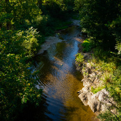 FLEUR DE SEL (ft Pire Mastaa)
