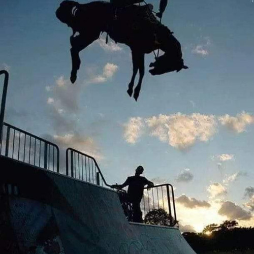 Buckin' Bronco the Rookie Song NOW (Remastered)