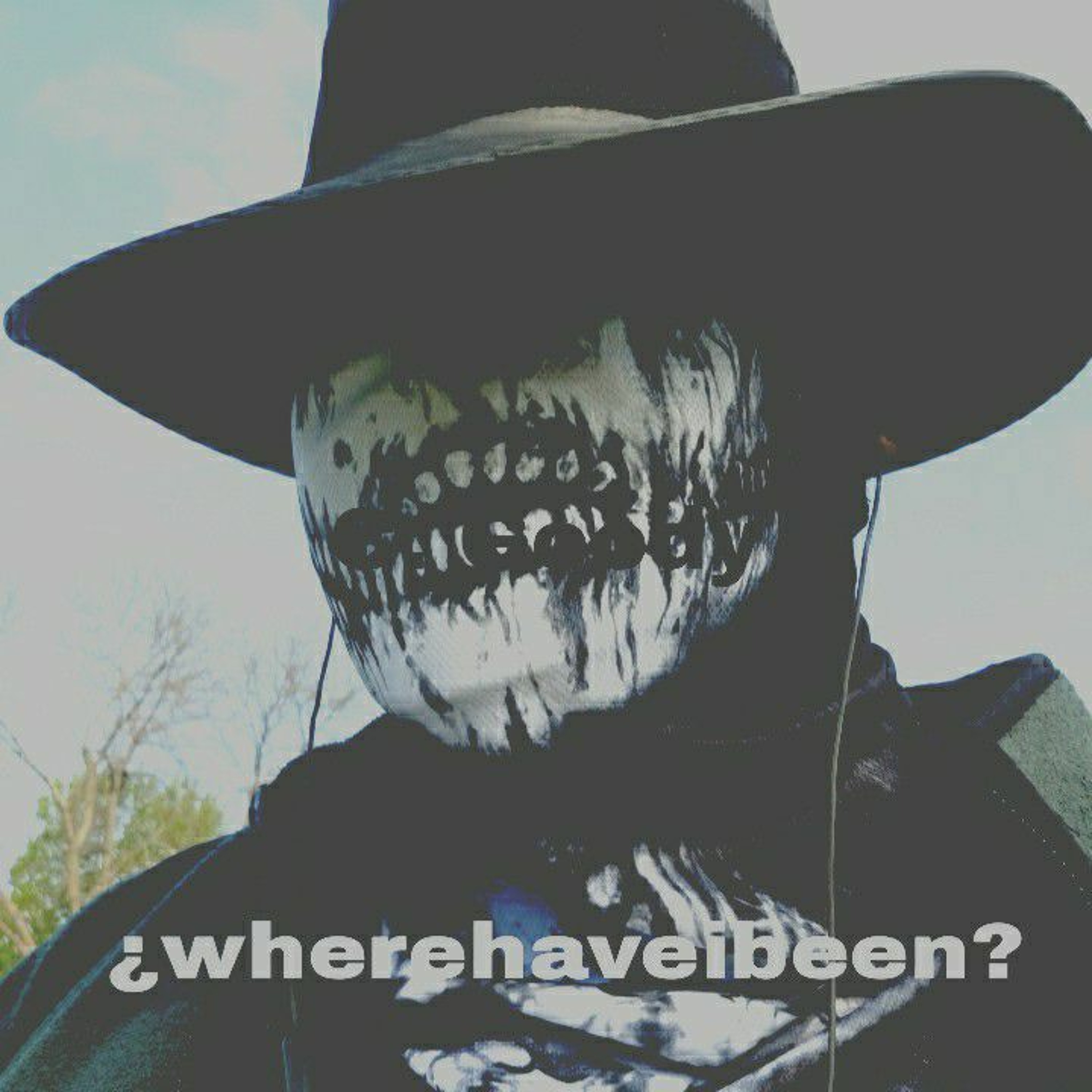 wherehaveibeen? (demo) episode artwork