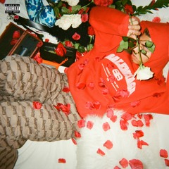 CamilosGarden - SENORITA DRILL [Prod. by Symo]
