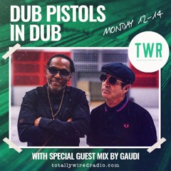 Dub Pistols In Dub feat Gaudi
