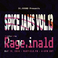 Spice Jams Vol. 13 - Rage.inald b2b 30,000AD