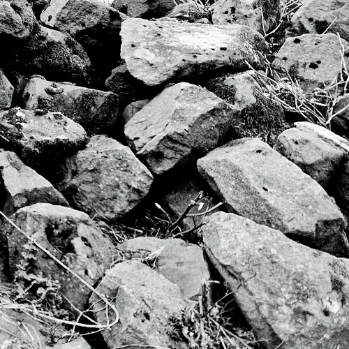 Makx_251222