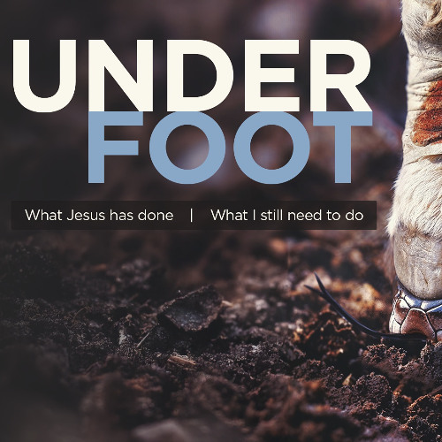 Underfoot 2 - Gregg Donaldson
