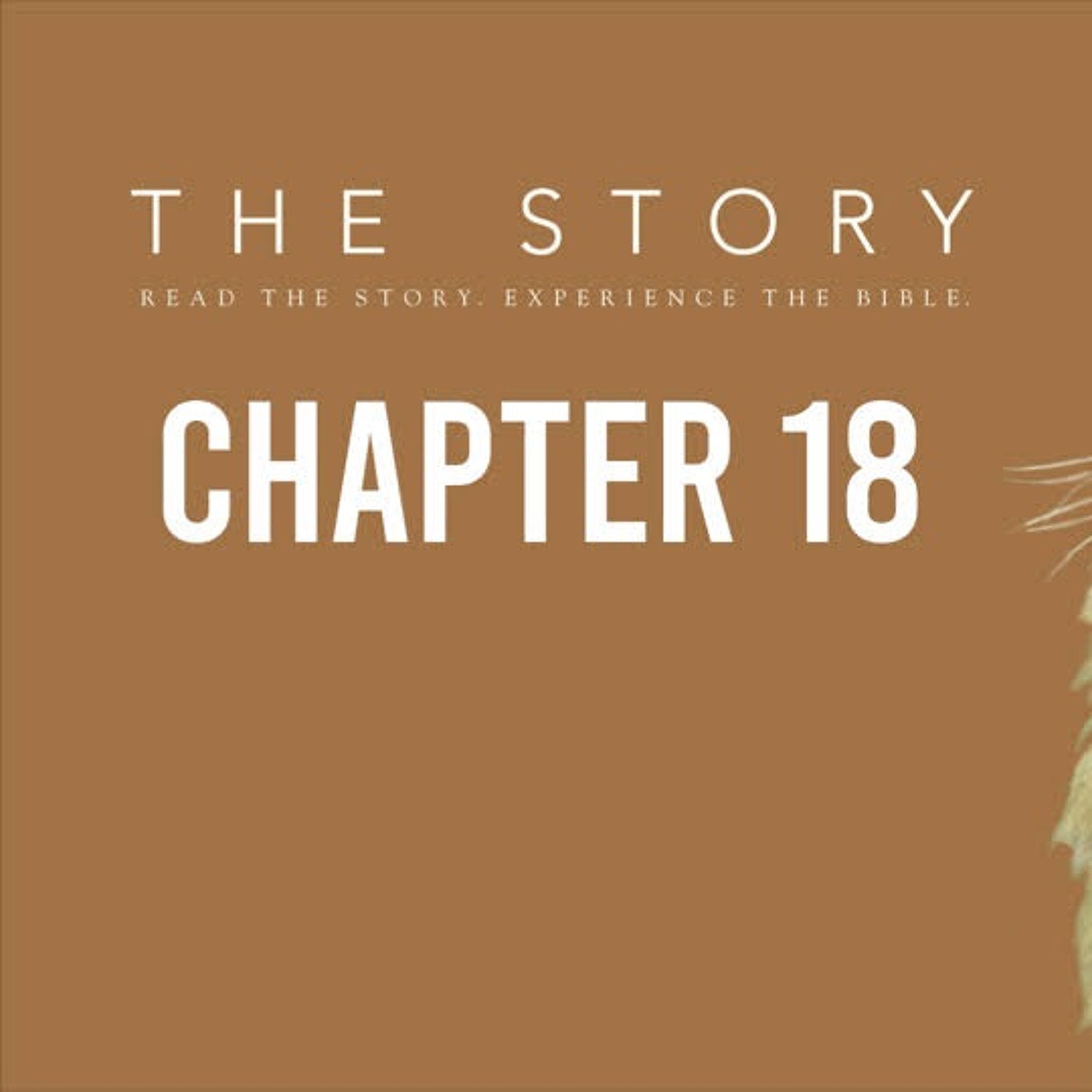 The Story - Ch. 18: Daniel in Exile - Daniel 1-6 episode artwork