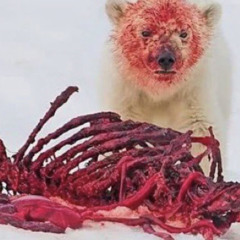 walk down flow p.jxcvb.mp3