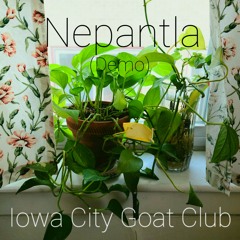 Nepantla (Demo 06/02/2021 4:51pm)