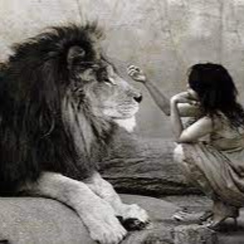 Lions Feet