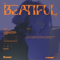 Vvolv & Joel Coopa - A Beautiful Life (Forever Finite)