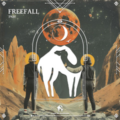 Freefall [Cafe de Anatolia]