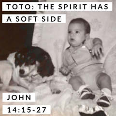 Toto: The Spirit Has a Soft Side