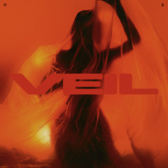 SLWDWN - Veil  [Premiere]