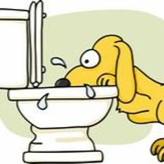 DOG WATER