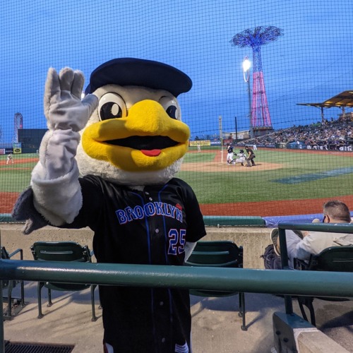 🥎 cyclones transition ~ from the pit's despair to the ballpark's fresh air