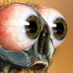 Wiz 'n' Liz - Dead Land (GENESIS MEGA DRIVE OST)