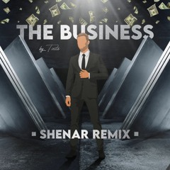 Tiesto - The Business | Shenar Remix