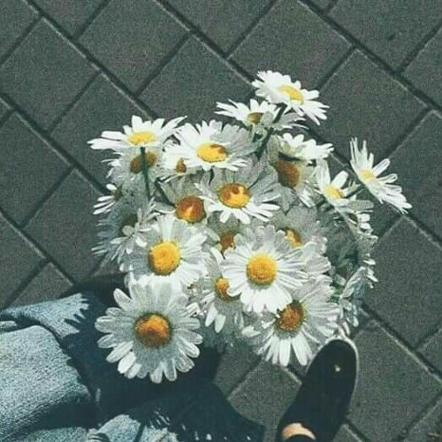 Sau Khi Anh Đi - Tiểu Mị _ 我走后 - 小咪 (Tik Tok抖音)