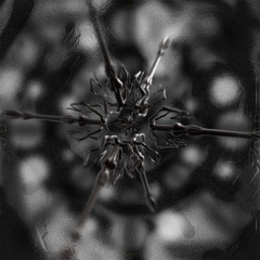 [ES037] Desirée Falessi - Obsidian / 2025