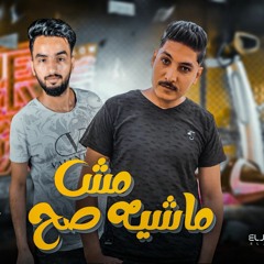 مهرجان مش ماشيه صح فرحة تيتو - الصامبو - حمو الهواري -الجوكر .mp3