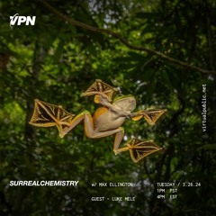 VPN Radio: Surrealchemistry 3/26/24 w/ Luke Mele