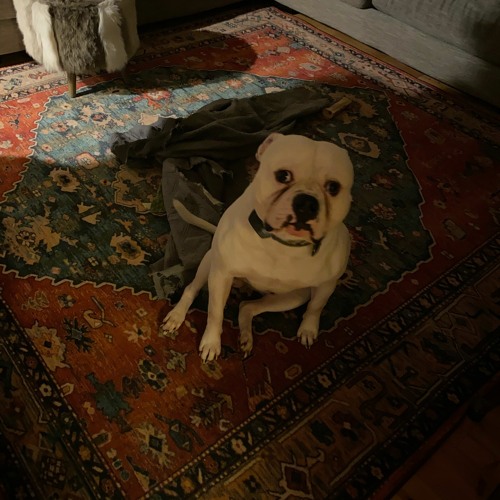 Where are you (demo)