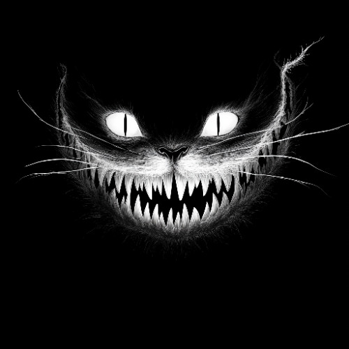 Bagă Tek (BTK23)  - A înnebunit Motanu [ FREE DOWNLOAD ]