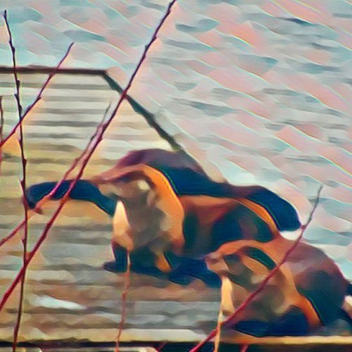 Wrinkle in the Moment ( from the Half-Life collection on Bandcamp)