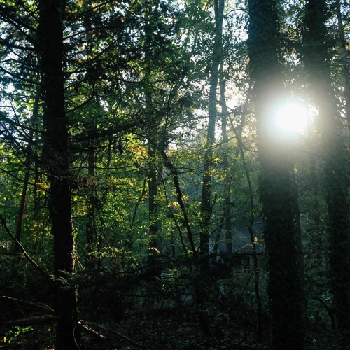 blog tv w/crushedoxy