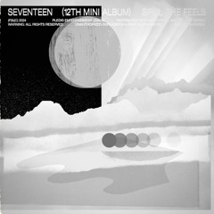 SEVENTEEN - Water x FE!N [prod. adrian]