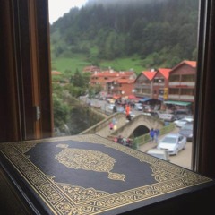 لا يَغُرَّنَّكَ تَقَلُّبُ الَّذِينَ كَفَرُوا فِي الْبِلادِ | أحمد النفيس