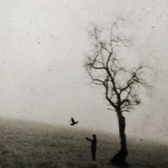 ao teu lado quando morrer.mp3