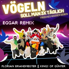 Vögeln -Florian Brandmeister & Kings of Günter (Eggar Remix)