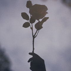 Ashen Bloom