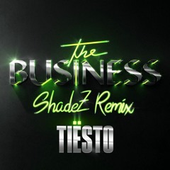 Tiesto - The Business (SHADEZ REMIX) NEW MASTER