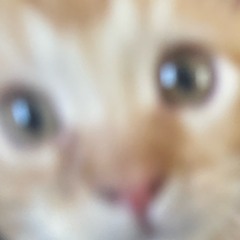 snooze (prod jace2posi)