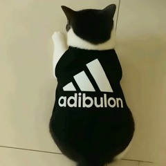 3.dBekk Producer's - 得到你的人却得不到你的心 Progressive 2025K