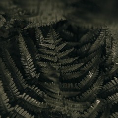 [ FREE ] 08pm - Splashin [Trap Instrumental]