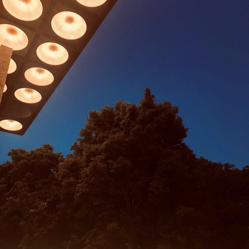 Appetite For Selection 079 - Charles Webster