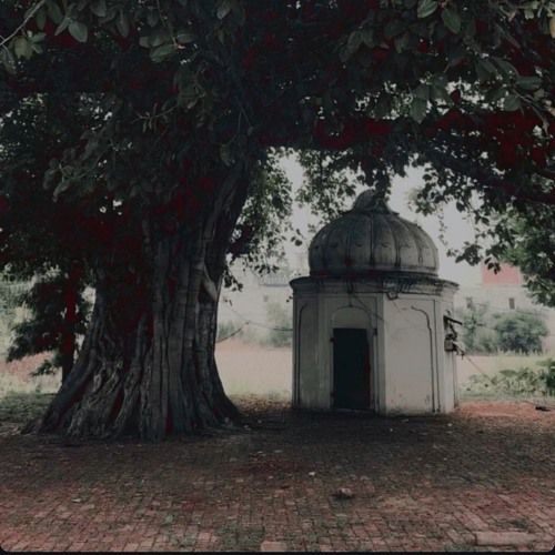 Paap Kamavdiya Tera Koye Na Beli Raam