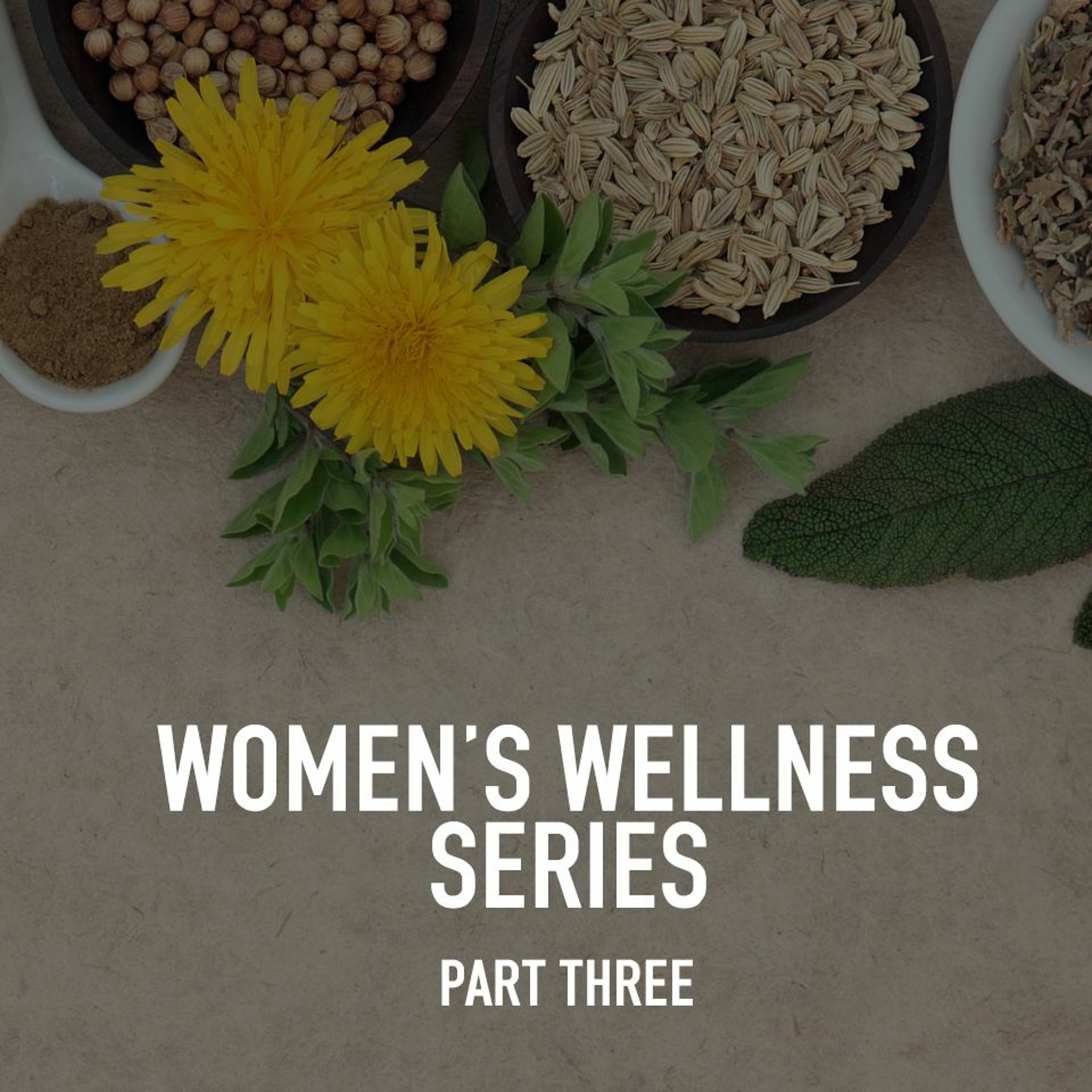 Women's Wellness Series Part Three With Coaches Melissa and Jess