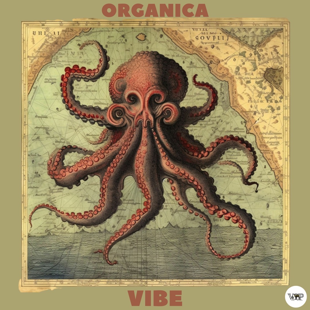 Stream 🅾🅡🅶🅐🅽🅘🅲🅐 - 🅥🅸🅑🅴 [Camel VIP Records] by 𝐂𝐚𝐦𝐞𝐥 𝐕𝐈𝐏 𝐑𝐞𝐜𝐨𝐫𝐝𝐬 ...
