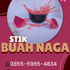 UB karya barokah stik 0855-5965-4834 produsen stik buah naga Sambungmacan