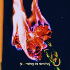 Chris Grey - Burning in Desire (Slowed + Reverb)